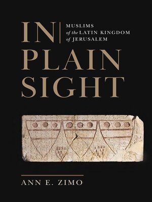 cover image of In Plain Sight